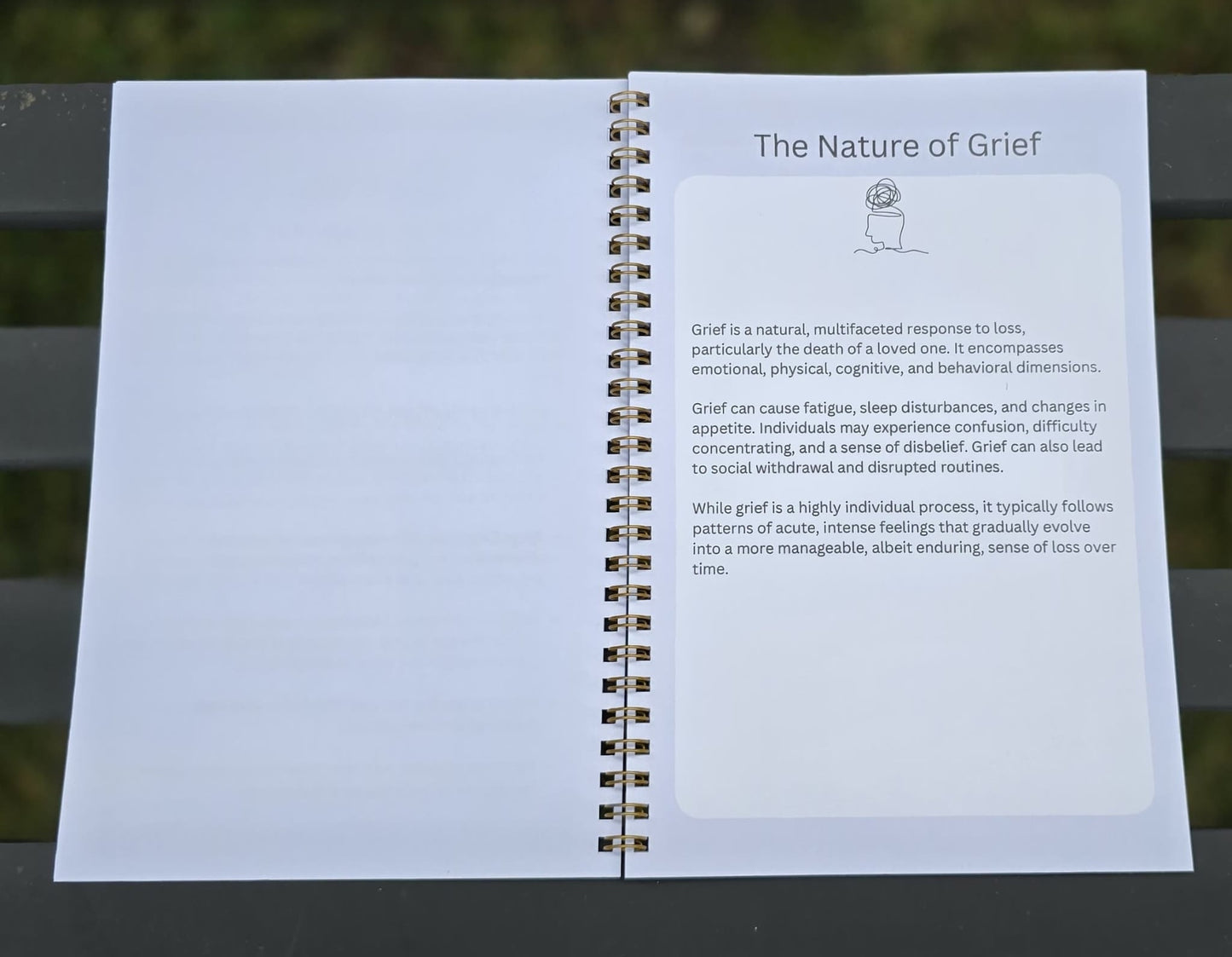 Serenity - A Guided Grief Journal